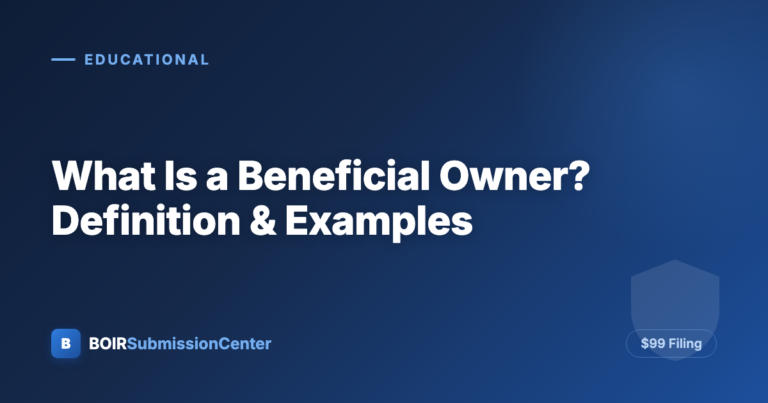 What Is a Beneficial Owner? Definition and Examples
